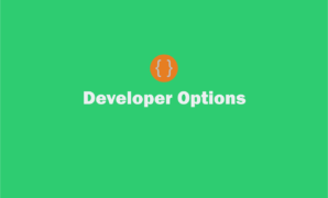 developer options