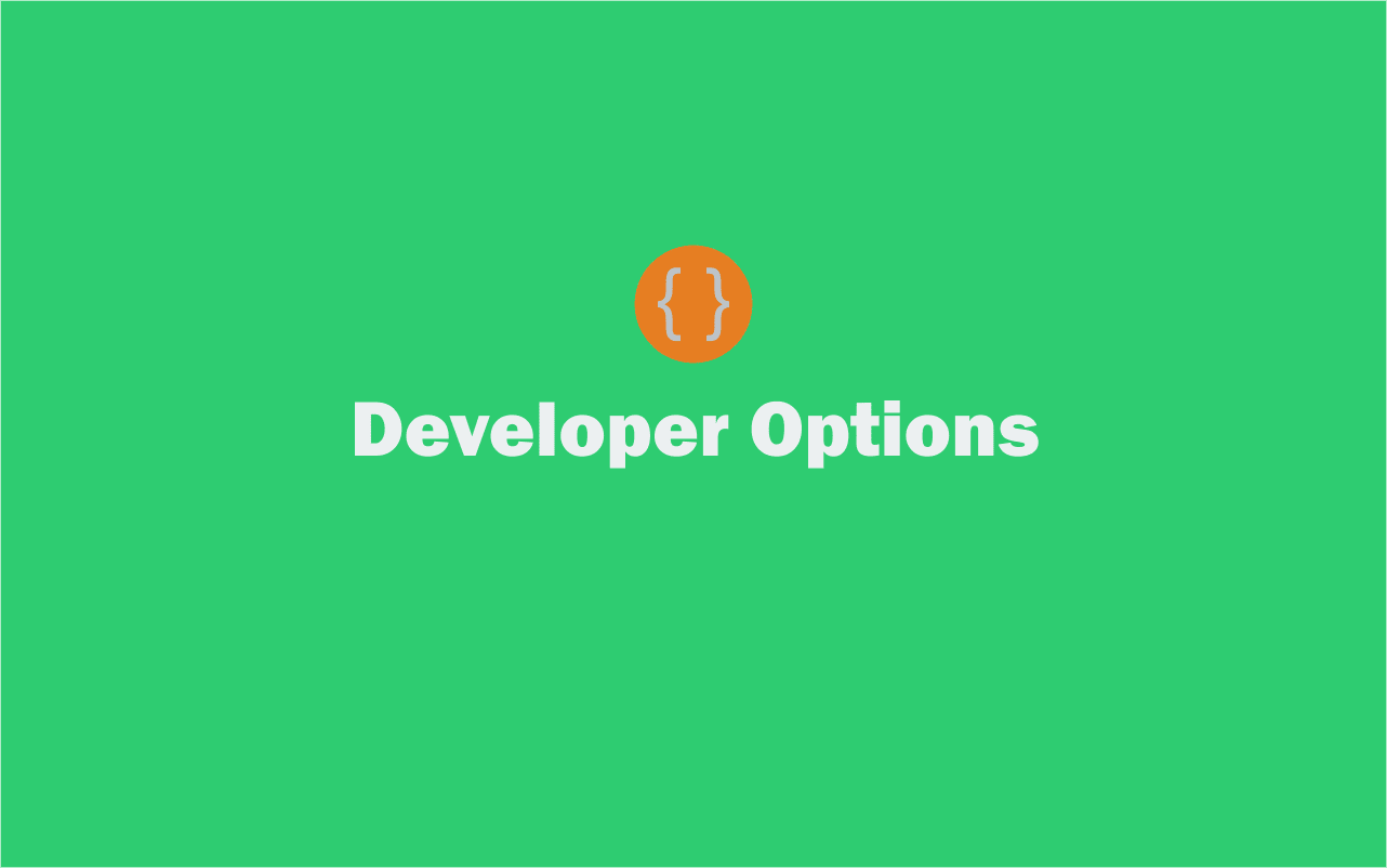 developer options