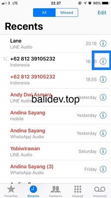 melihat riwayat panggilan iPhone melihat riwayat panggilan iPhone