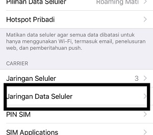 Pengaturan Jaringan Seluler iPhone Pengaturan Jaringan Seluler iPhone
