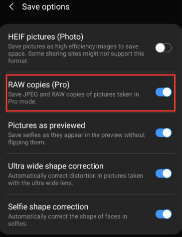gambar raw samsung galaxy s10
