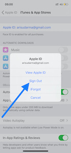 App Store tidak bisa download silahkan sign out apple id