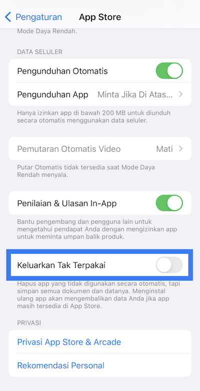 pengaturan app store agar aplikasi tidak terhapus otomatis